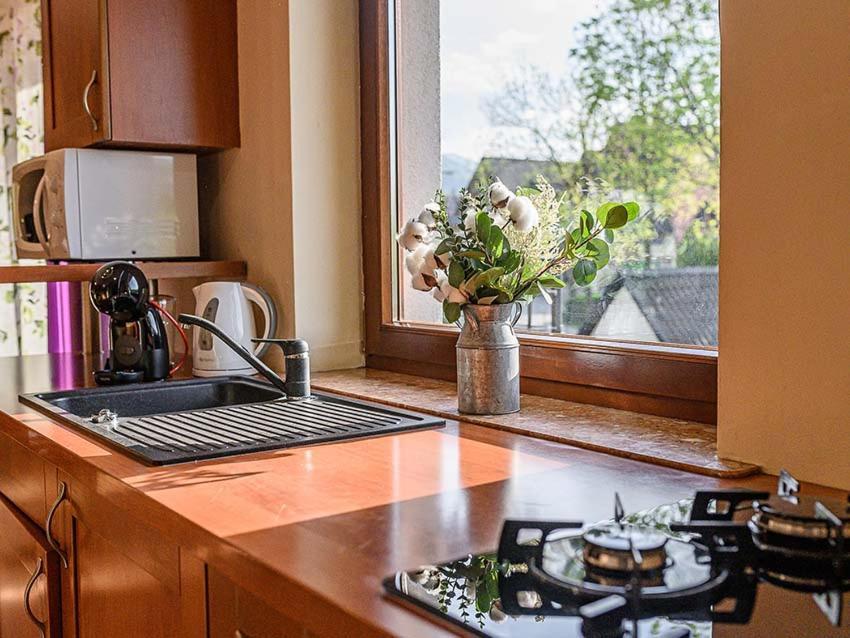 Visitzakopane - Apartament Rodzinny エクステリア 写真
